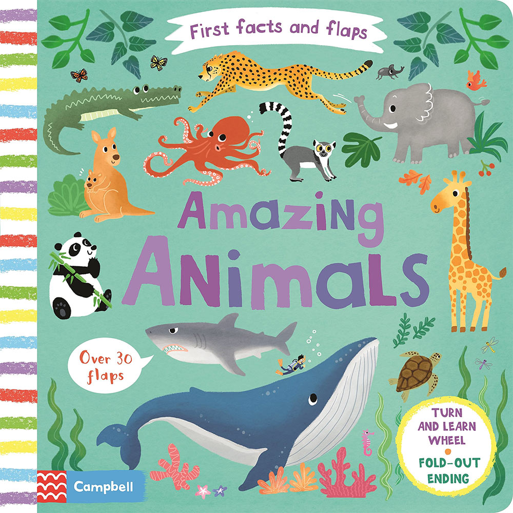 Amazing Animals - First Facts and Flaps (Board book)