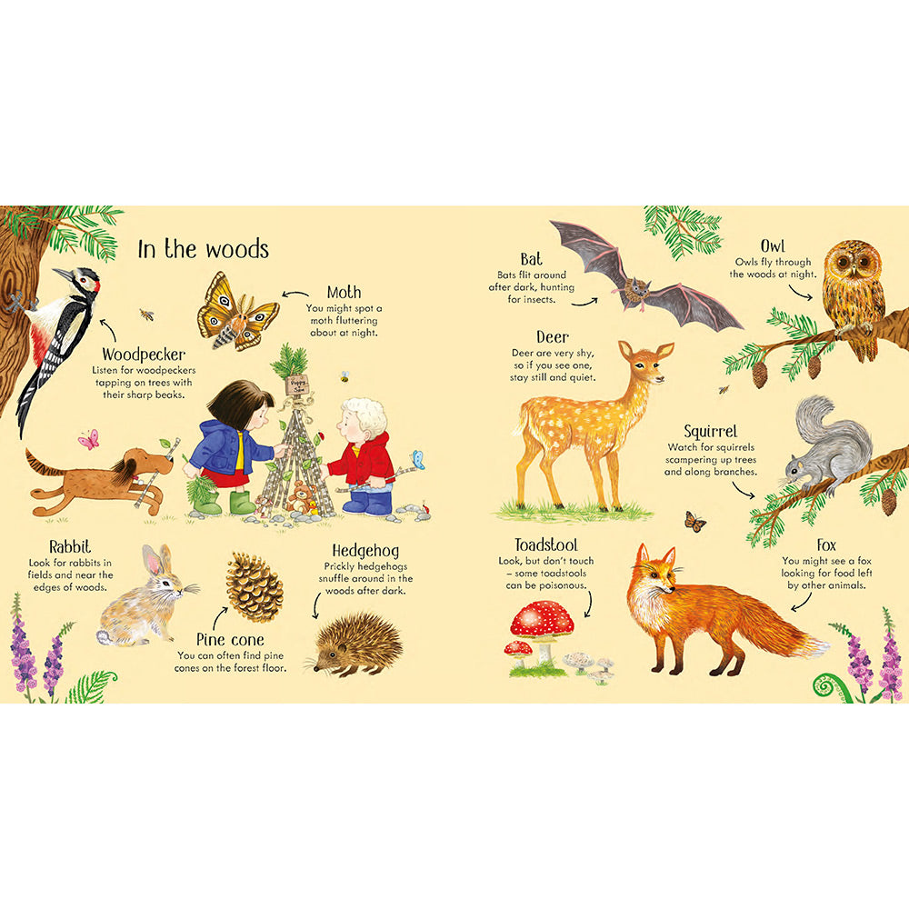 Poppy and Sam's Nature Spotting Book - Farmyard Tales Poppy and Sam (Board book)