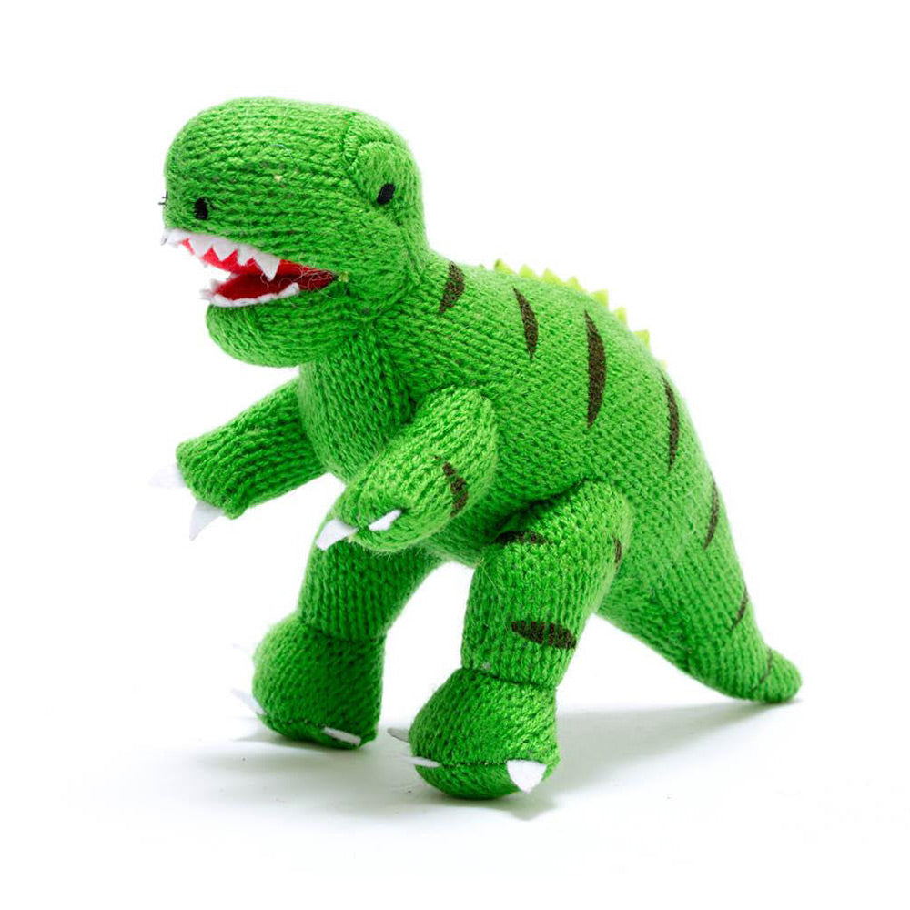 Small Green T Rex Knitted Dinosaur Rattle