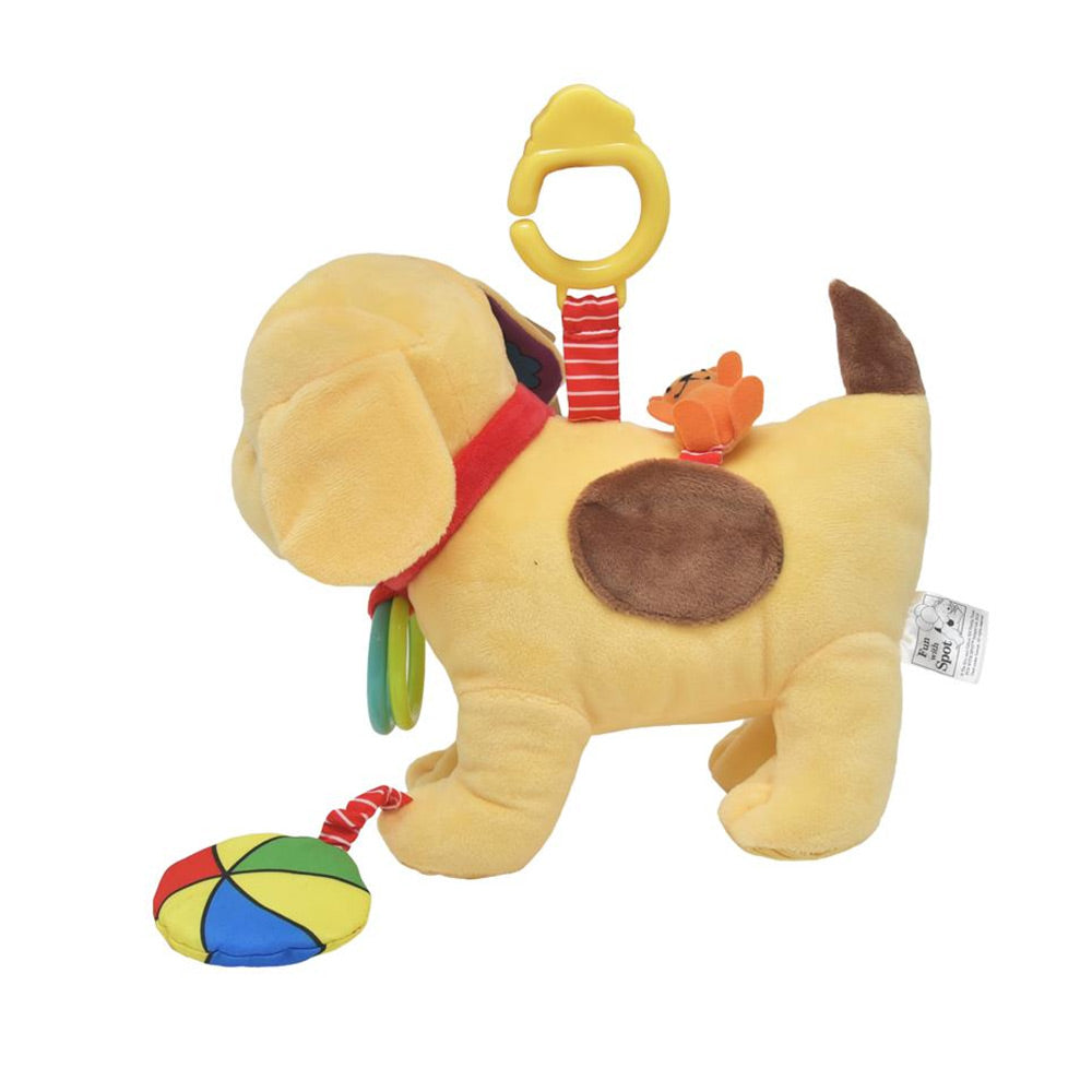 Spot Activity Toy