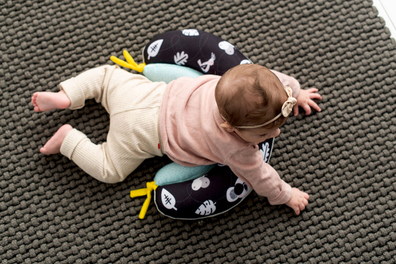 2 in 1 Tummy Time Pillow