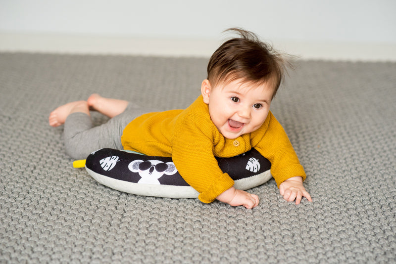 2 in 1 Tummy Time Pillow