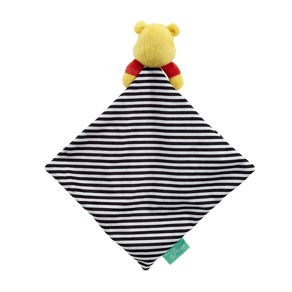 Winnie the Pooh A New Adventure Comforter Blanket